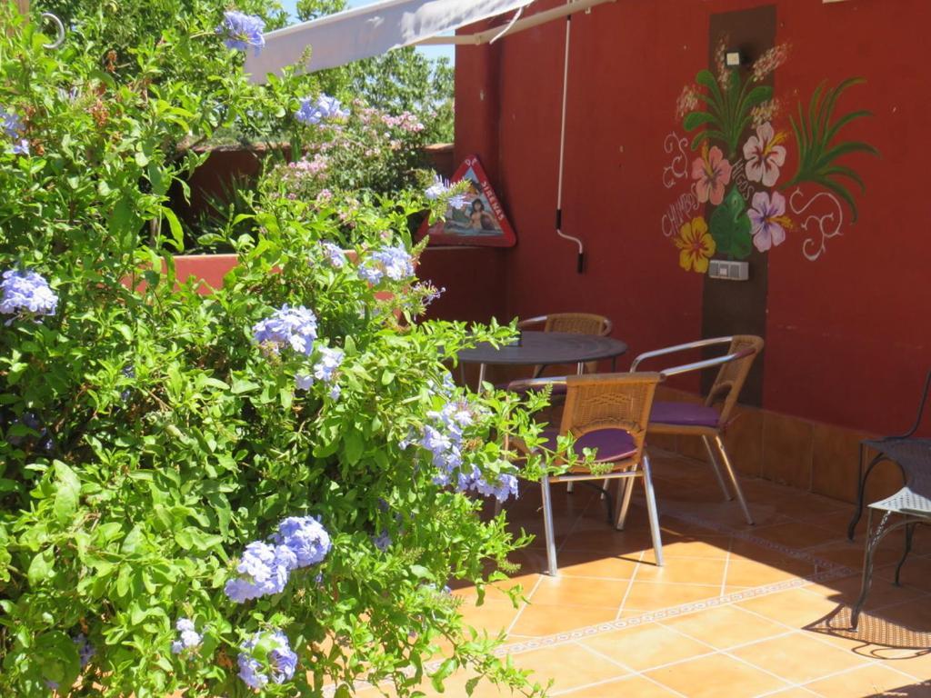 Higos Chumbos, Casa Rural Compartido Chiclana de la Frontera Exterior foto